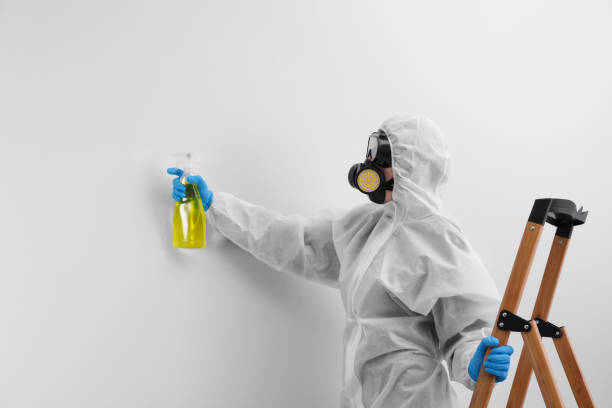  , USA Mold Removal & Remediation Pros